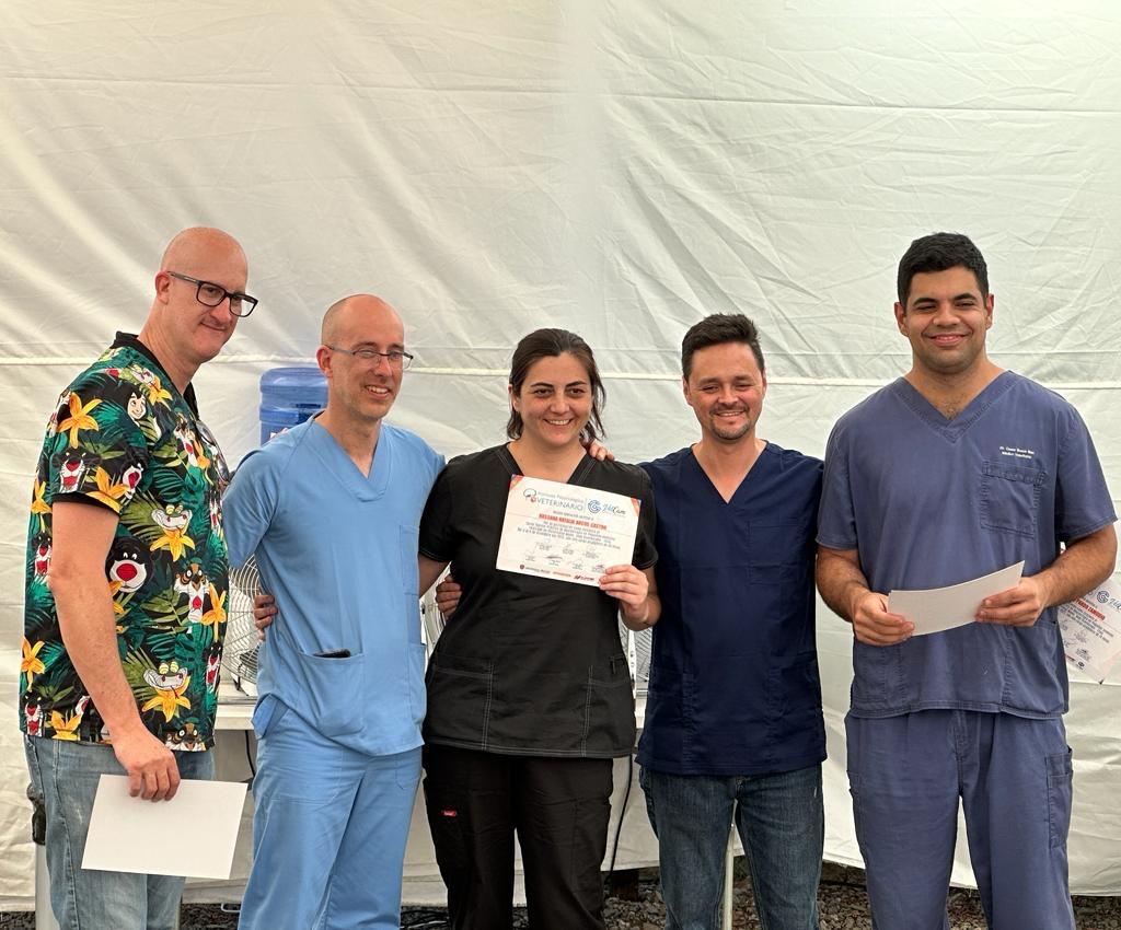 Certificación en curso de neurología veterinaria internacional