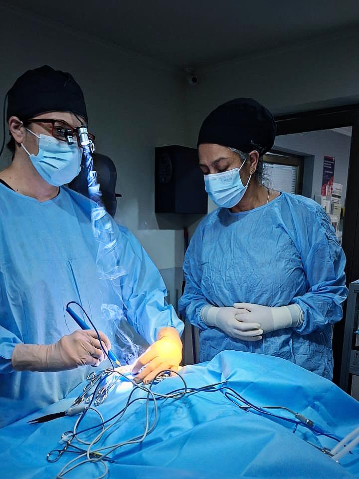 Cirugía neurológica veterinaria de columna