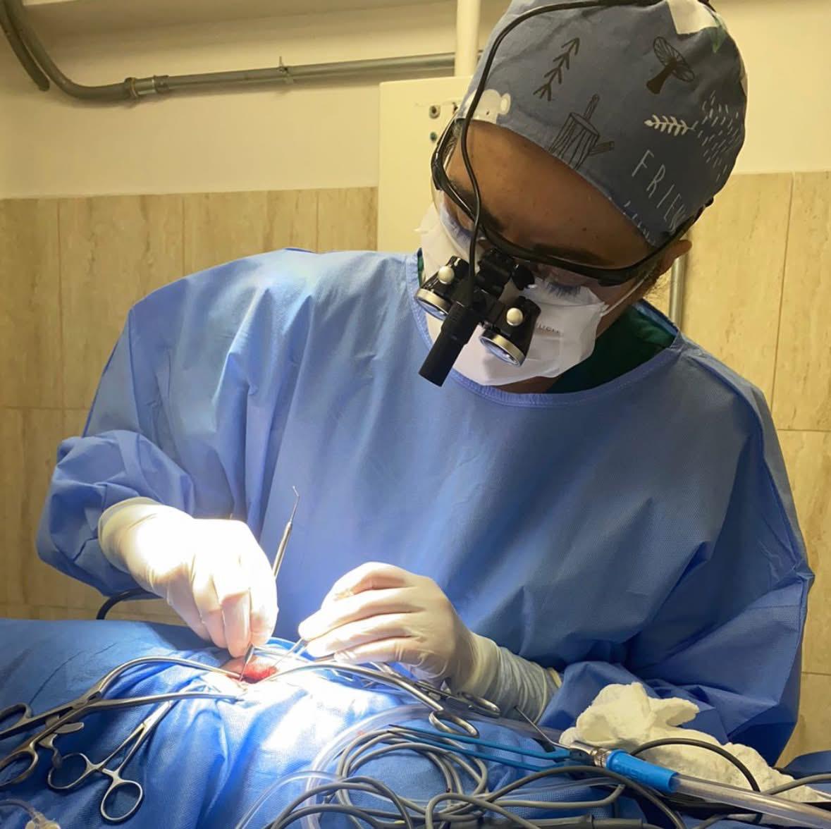 Estabilización vertebral veterinaria